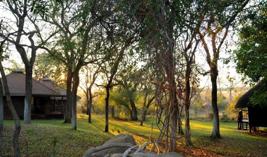 Idube Game Reserve Réserve privée de Sabi Sand Extérieur photo