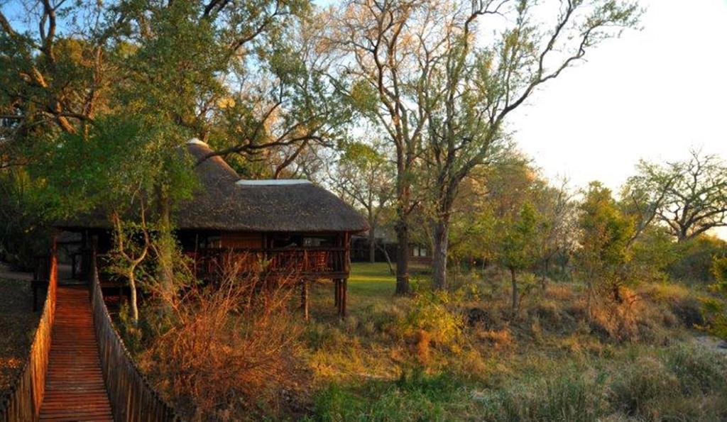 Idube Game Reserve Réserve privée de Sabi Sand Chambre photo
